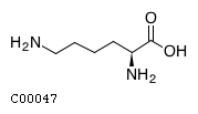 L-lysine