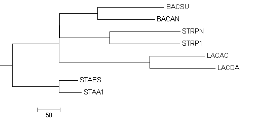 nblosum