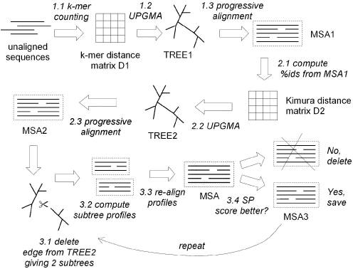MUSCLE flowchart