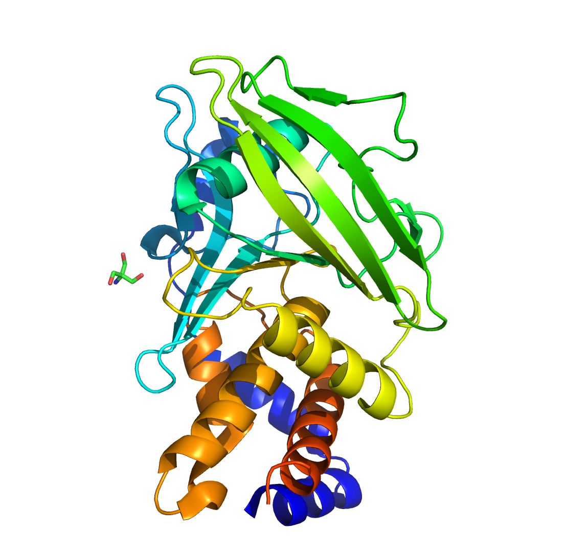 7FRT structure