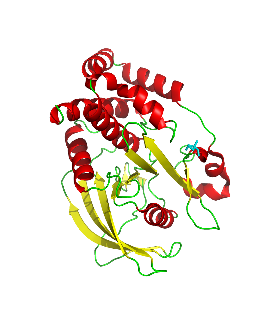 7FRT structure coloured by protein structure type