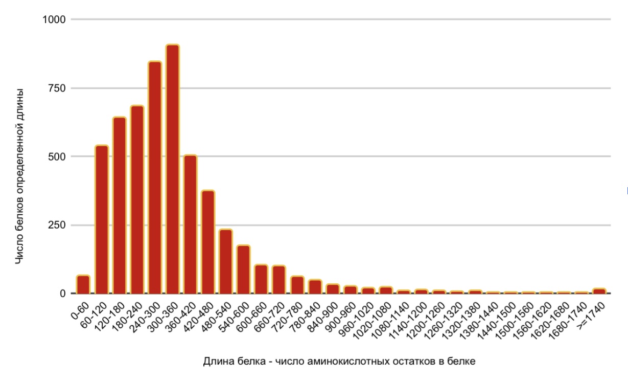 Разнообразие длин белков бактерии