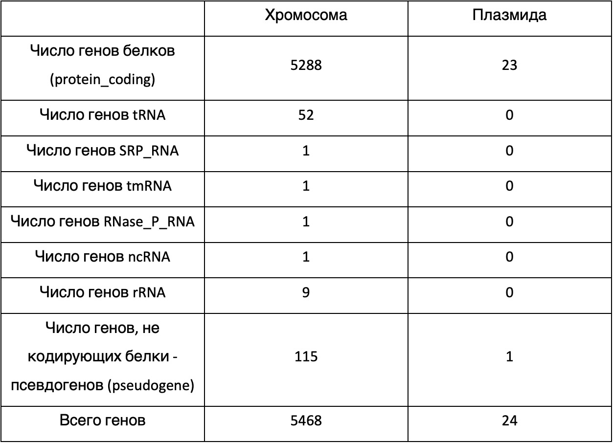 Сравнительная таблица числа генов, кодирующих белки, разные типы РНК и псевдогенов у хромосомы и плазмиды
