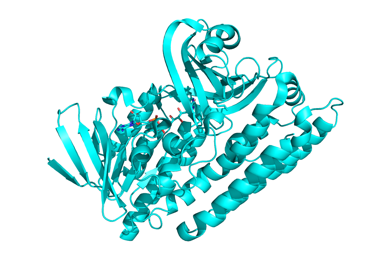 Структура белка 3ATQ