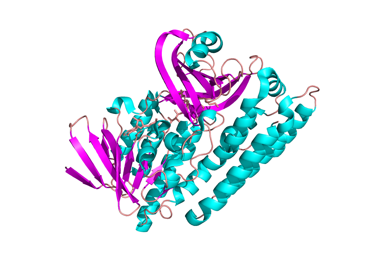 Вторичная структура