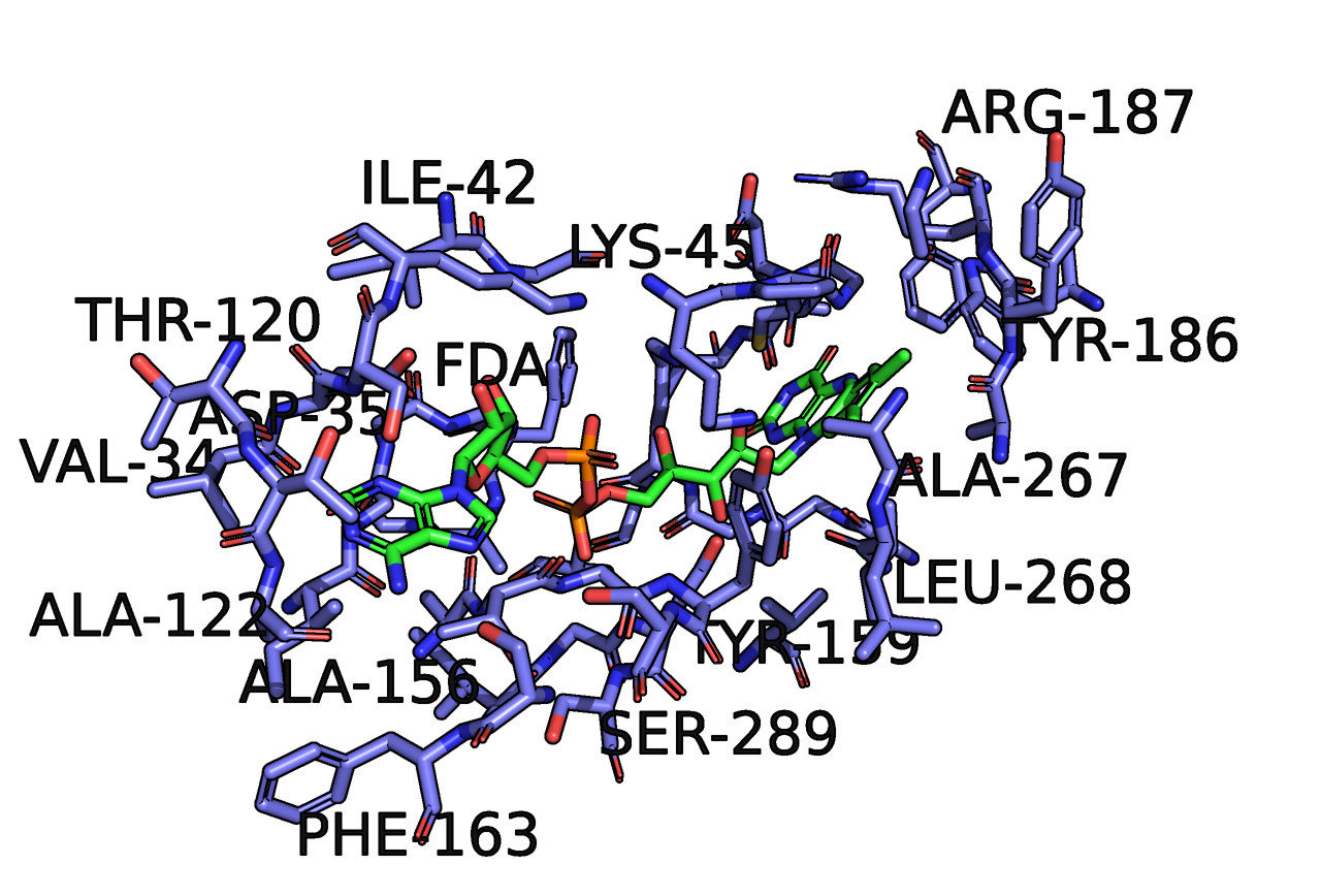 Окружение лиганда FDA на расстоянии 5 ангстрем