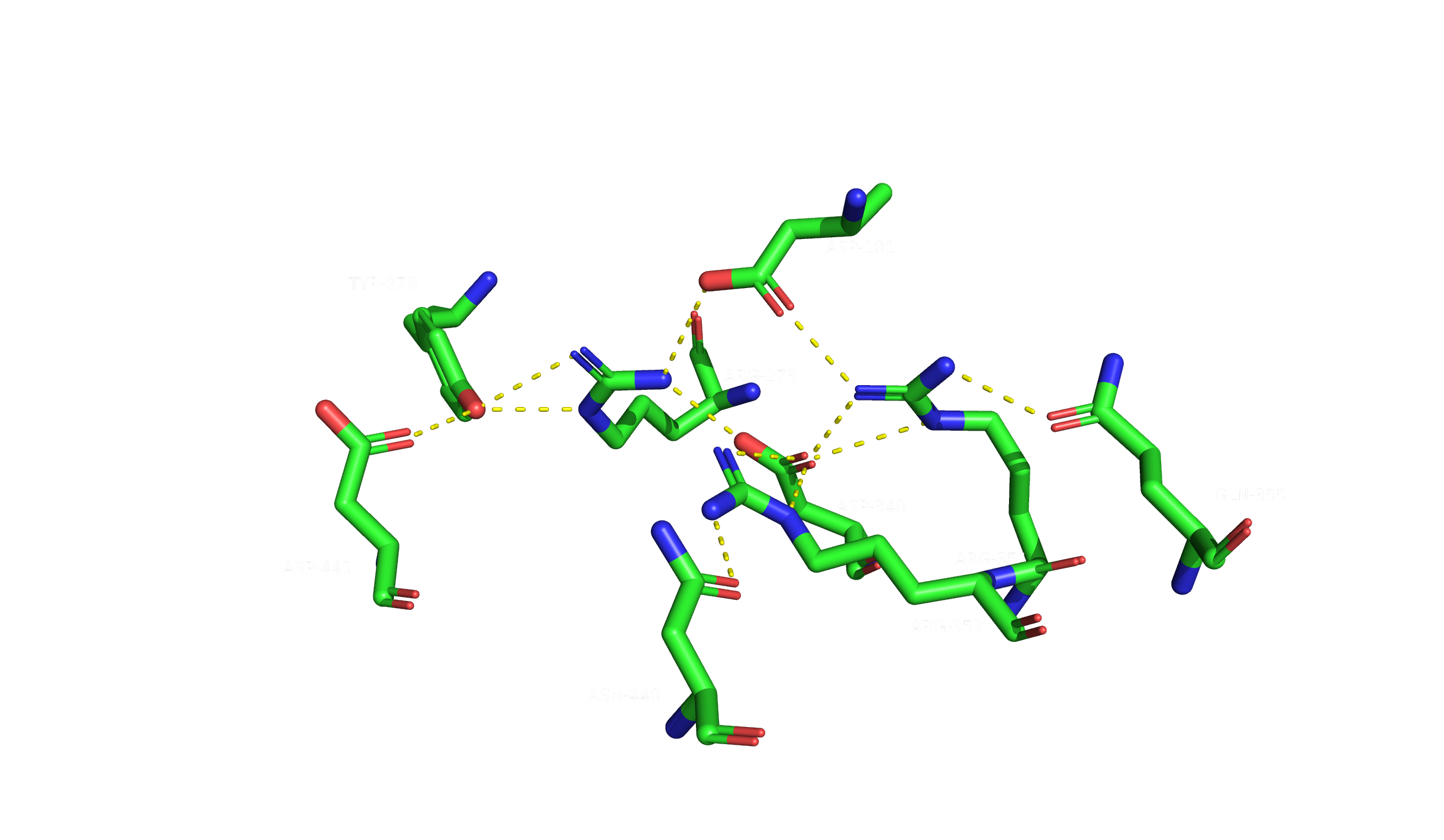 Водородная связь, затрагивающая атомы боковых радикалов аминокислот