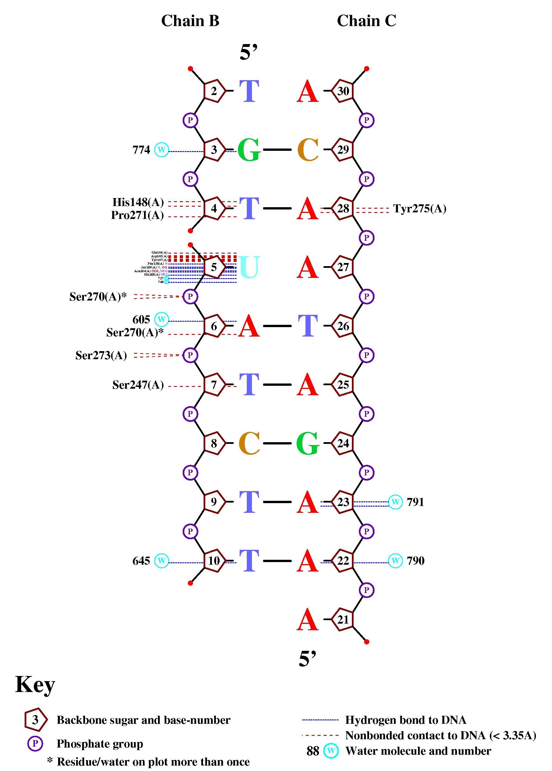 analysis of nucleic-protein contacts