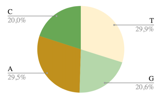 Pie chart