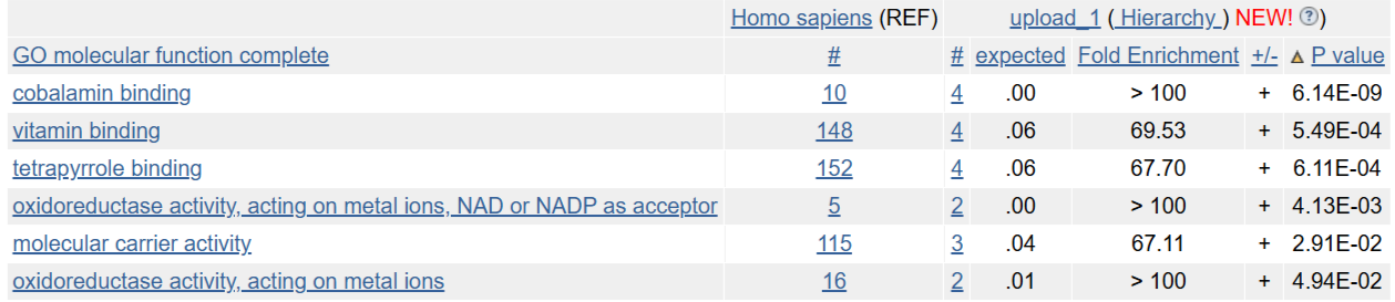 Результаты анализа молекулярных функций