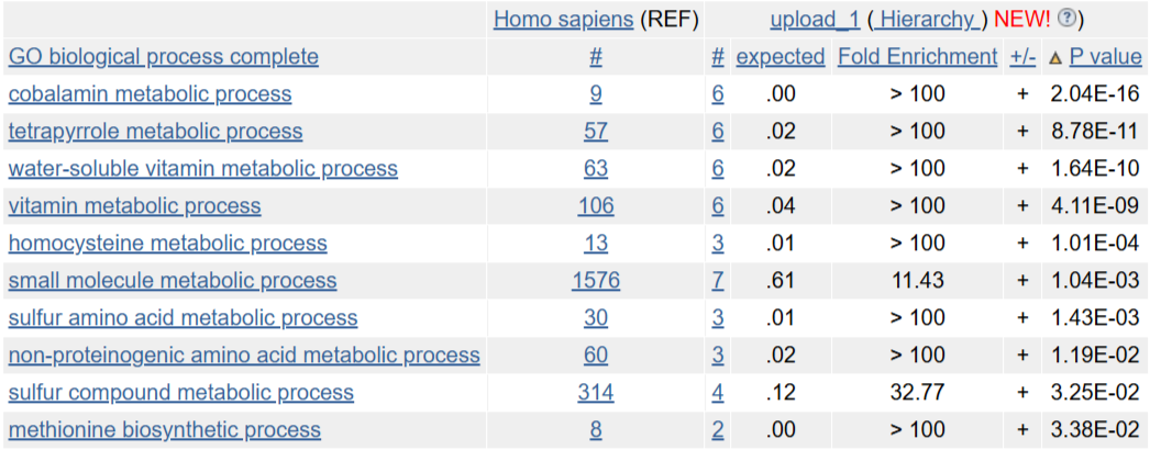 Результаты анализа биологических процессов