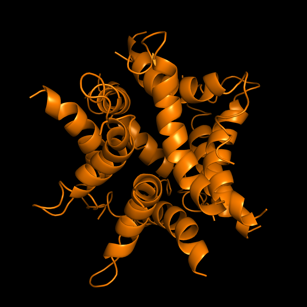 scene in pymol