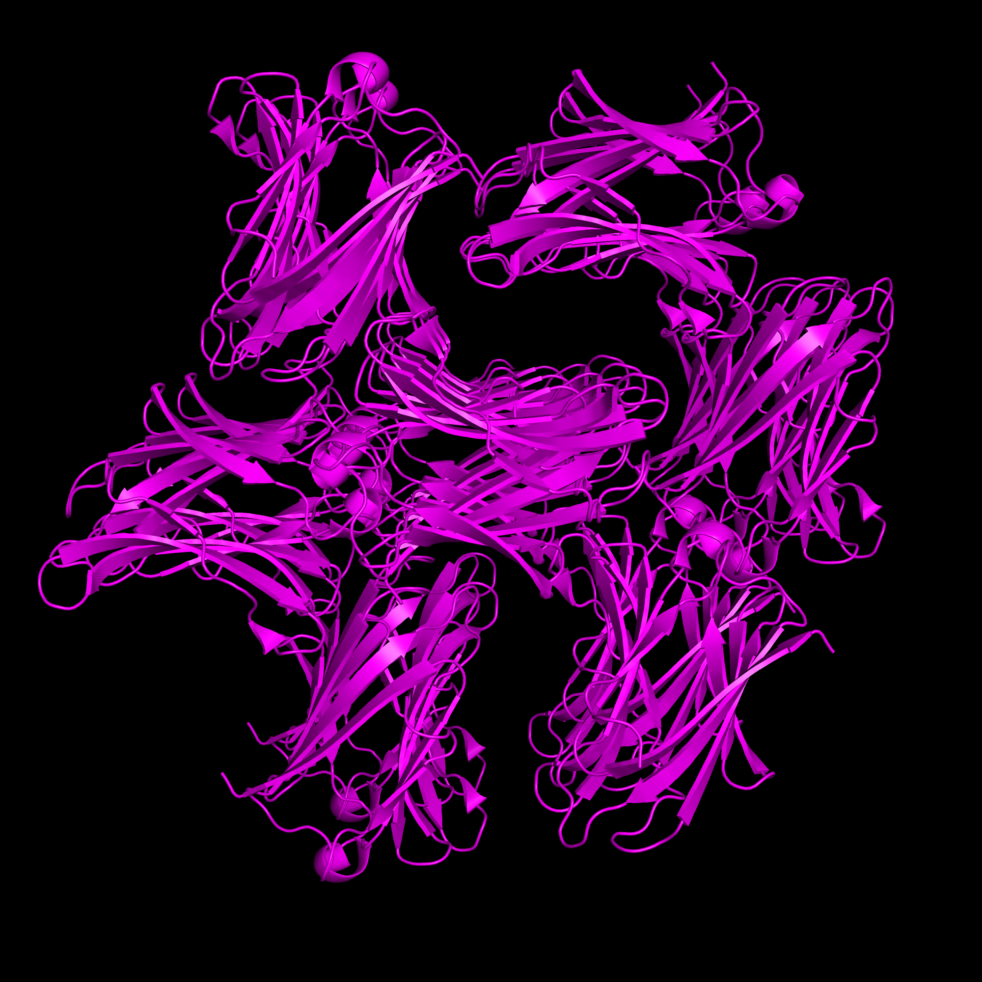 scene in pymol