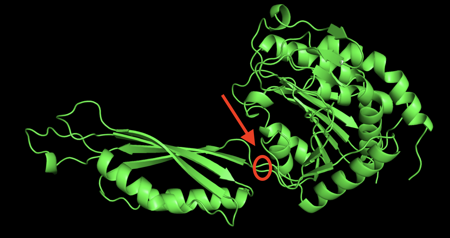 scene in pymol