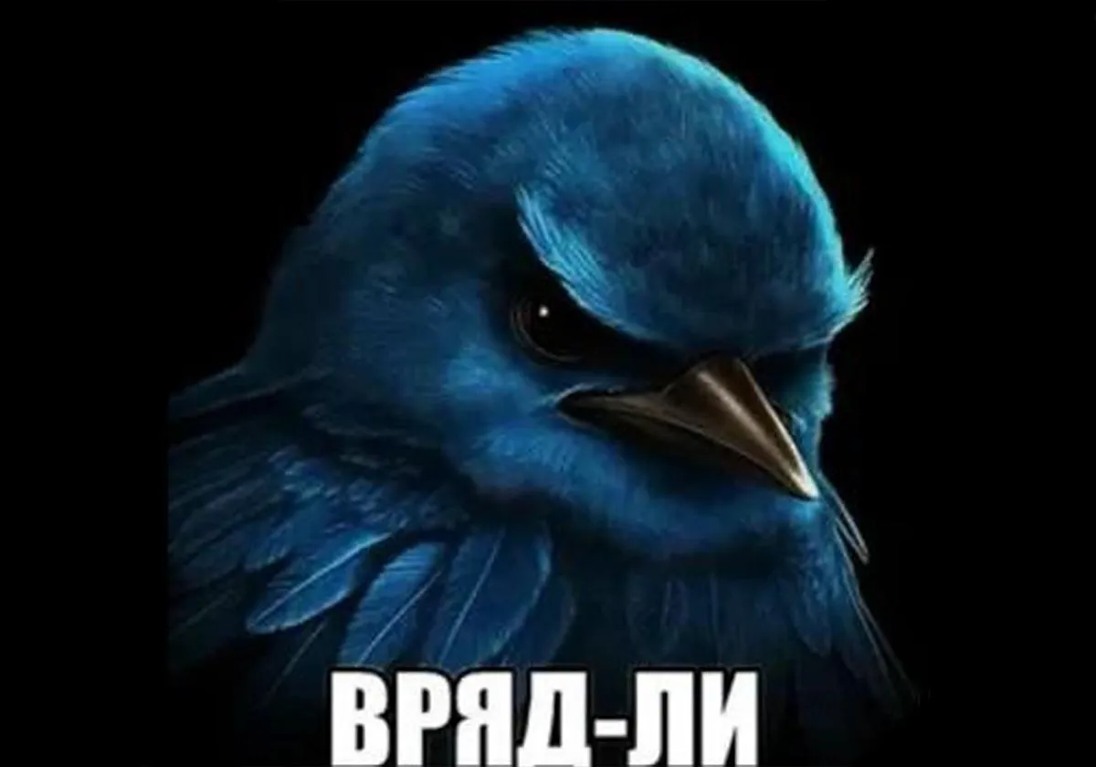 Дмитрий Алпатов