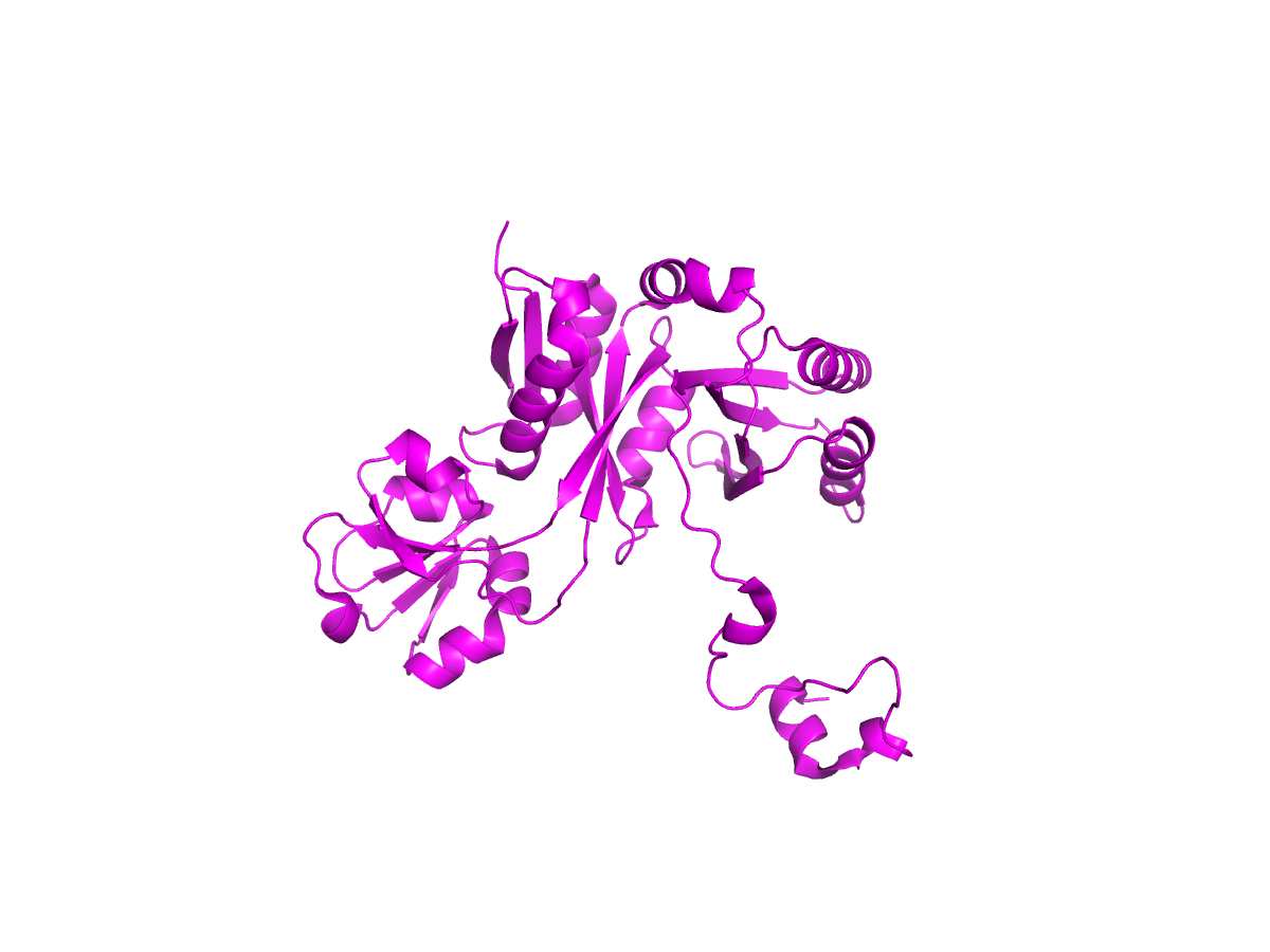 Биологическая единица 3LUY (димер)