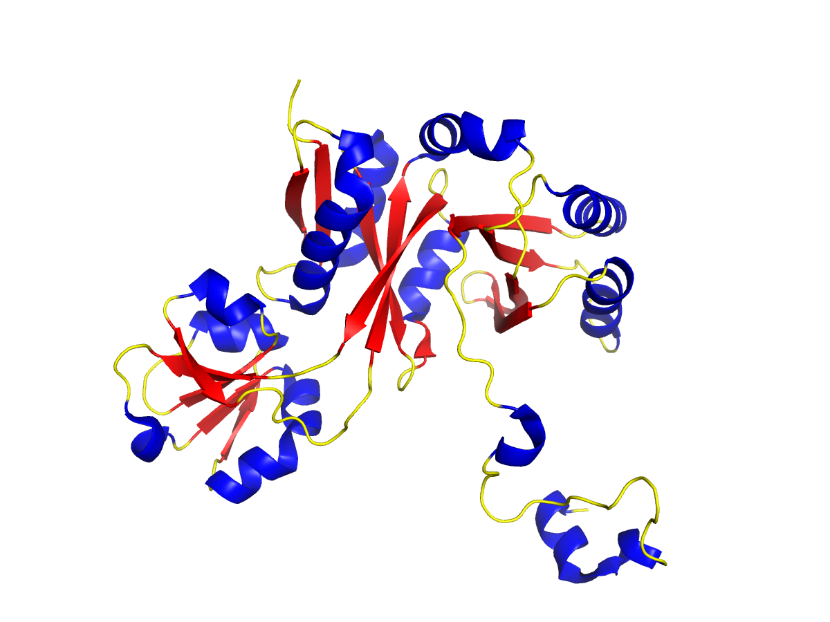 Вторичная структура 3LUY