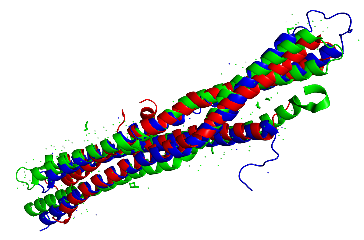 Совмещение BAR-доменов 1x03 (красный), 1uru (синий), 4atm (зелёный) в PyMOL