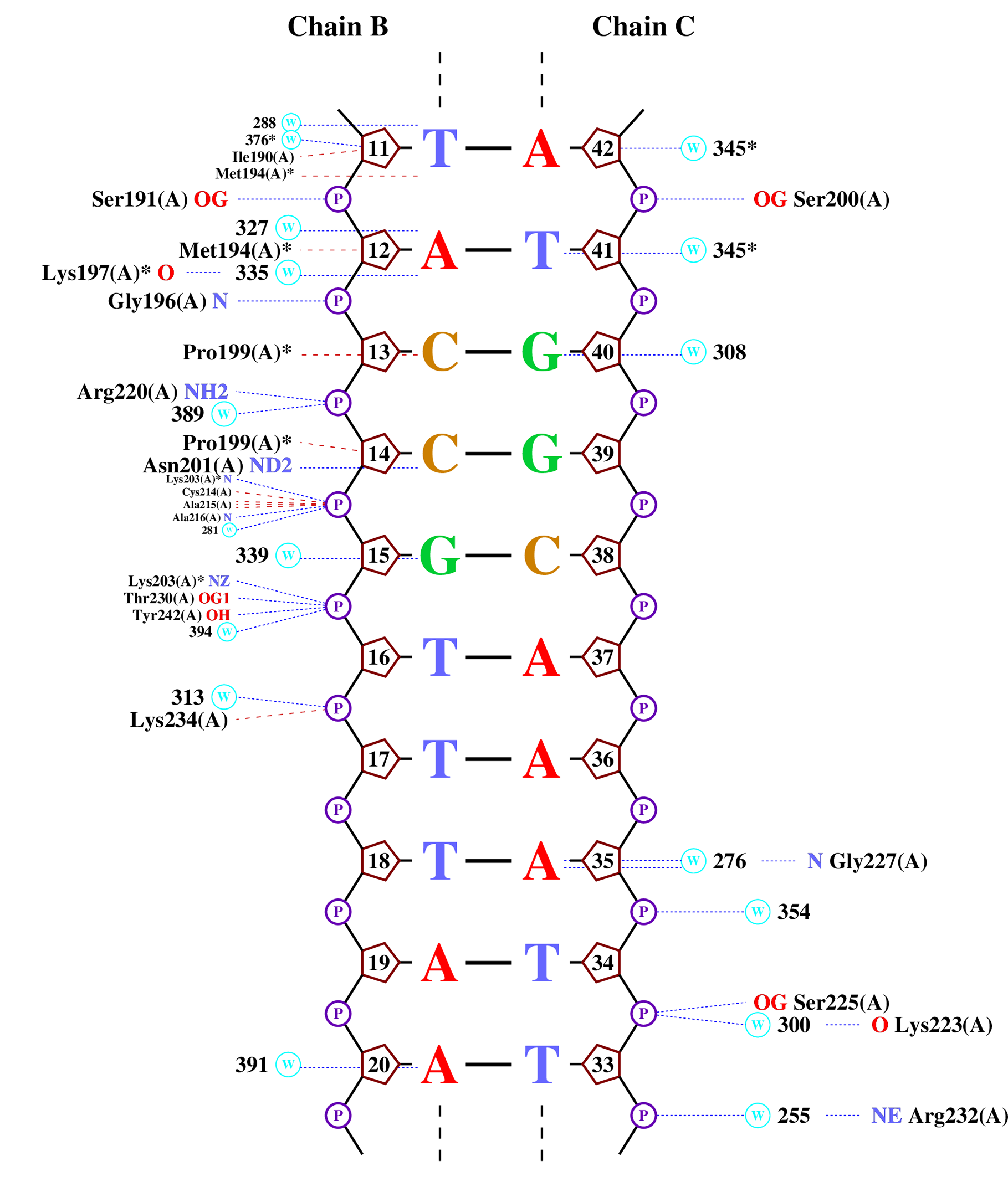 Схема контактов NUCPLOT, страница 2