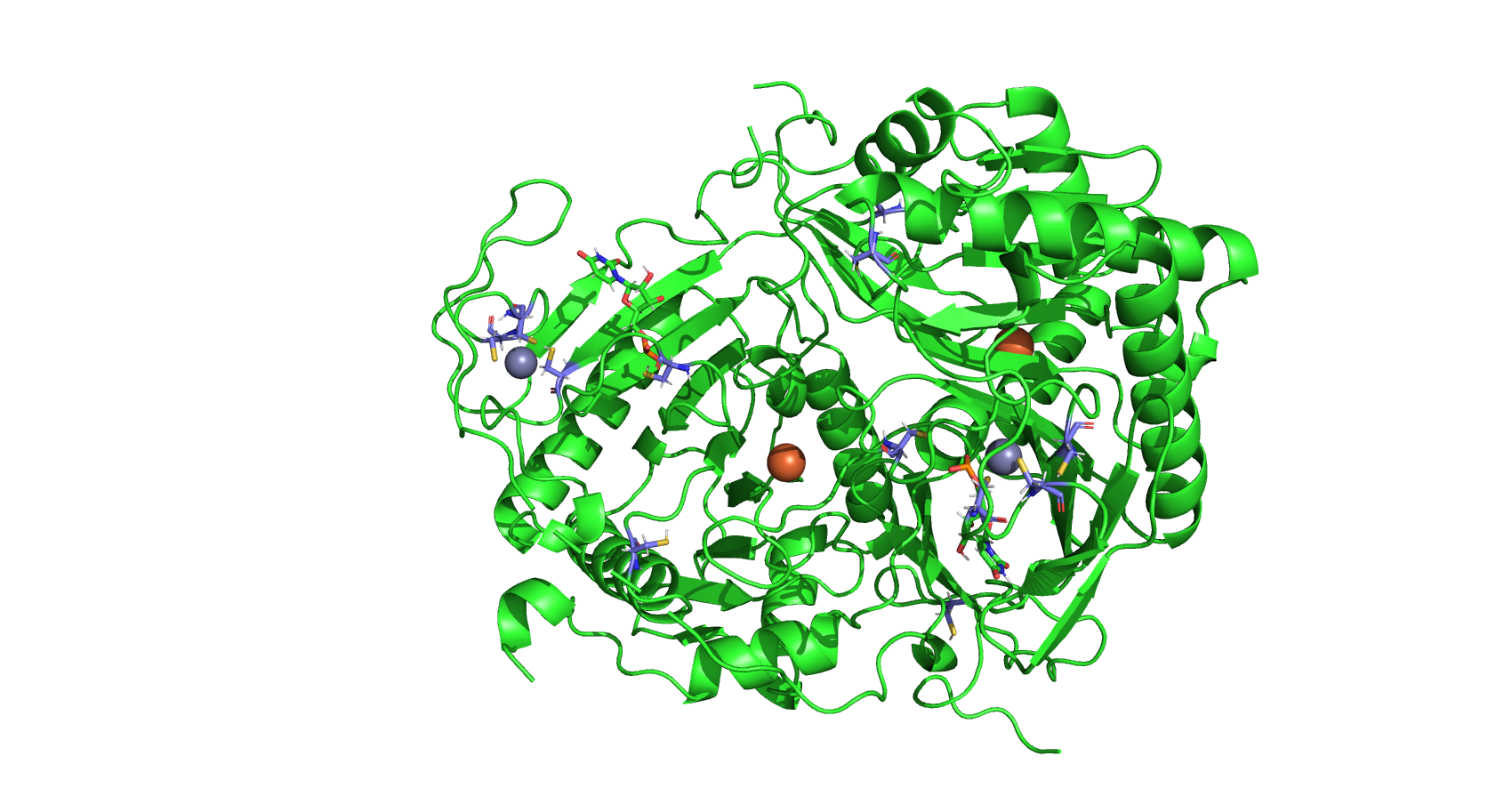 cysteins in the protein