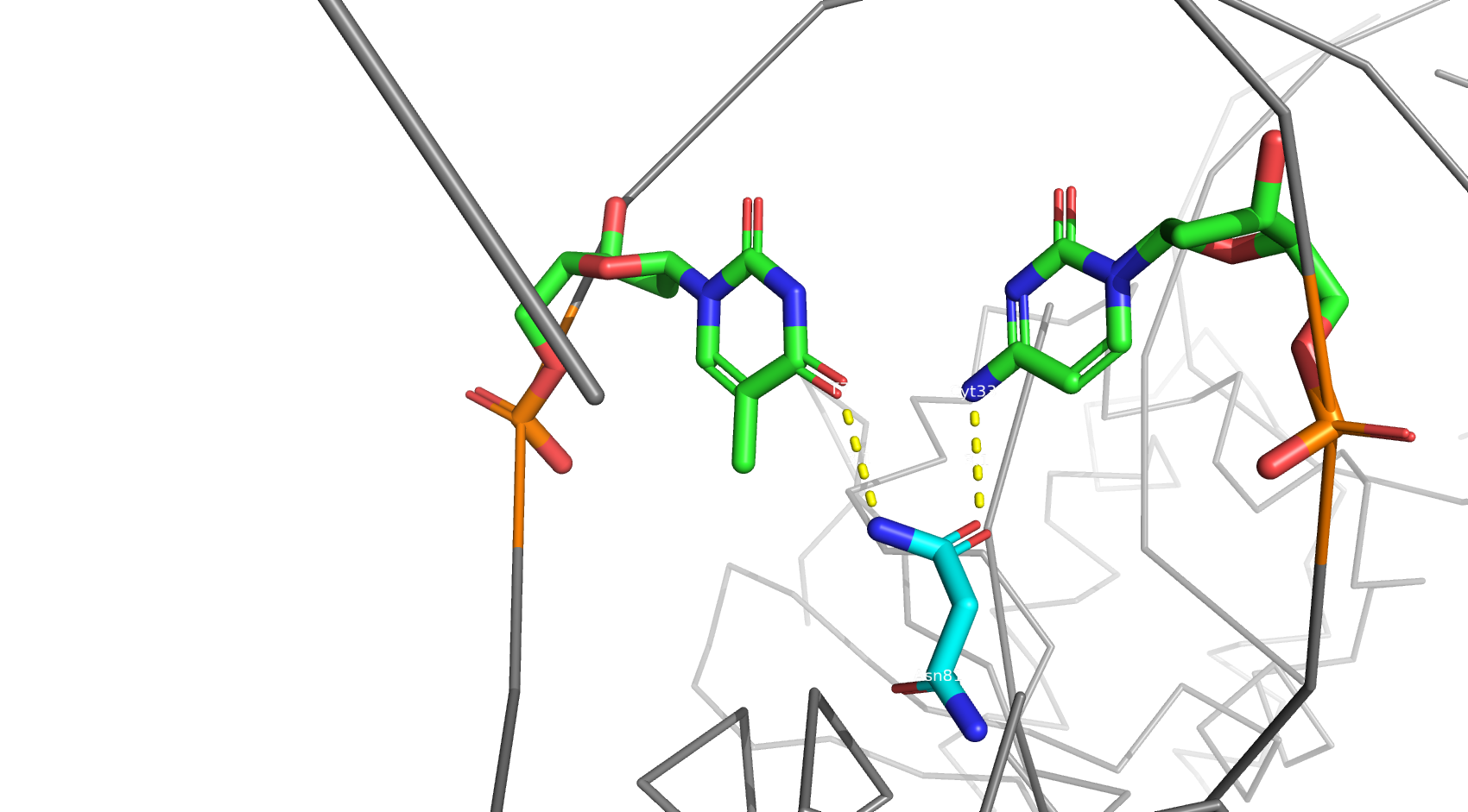 asn81