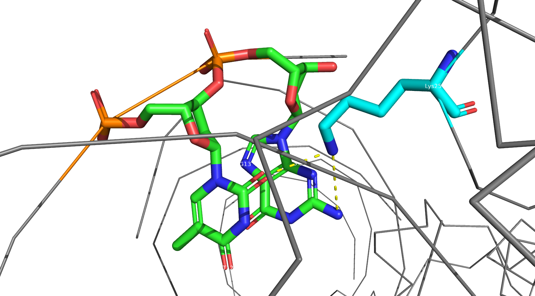 lys25