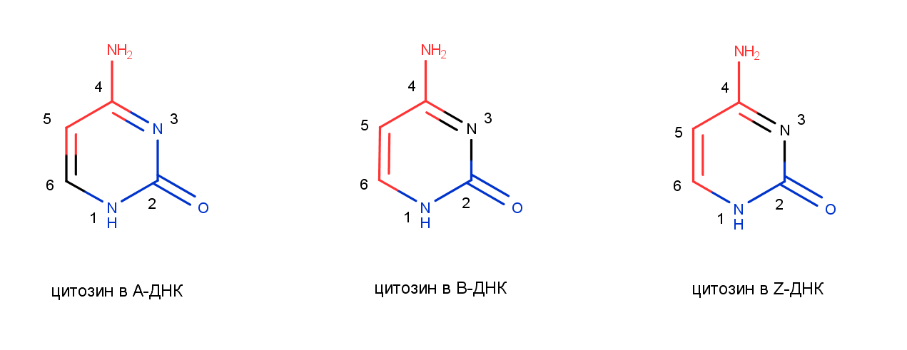 cytosine