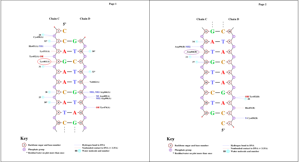 nucplot