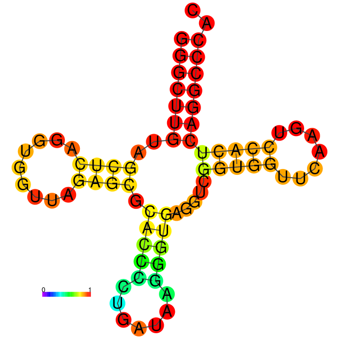 tRNA