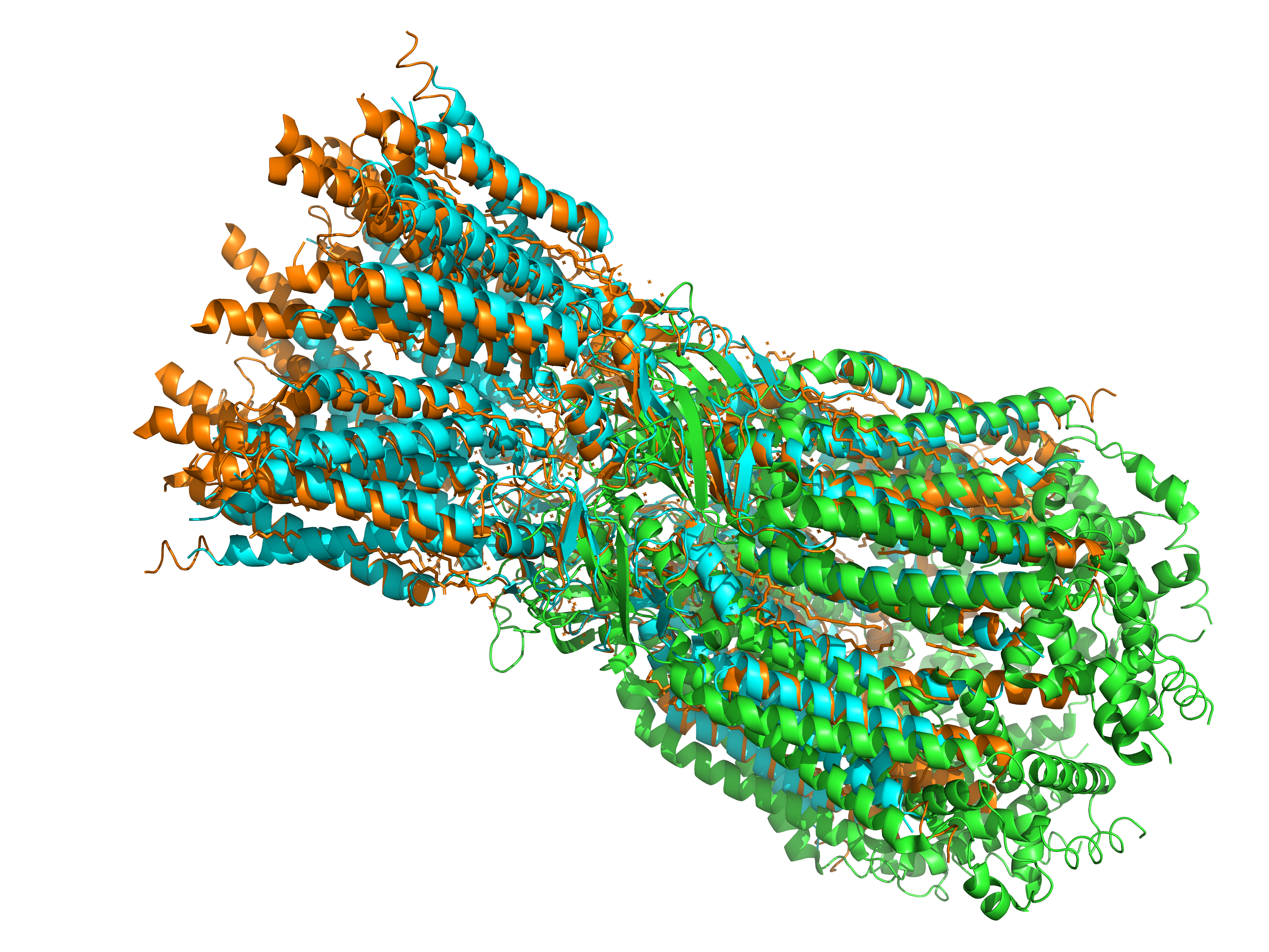 Совмещение 3D-струкрур 3 белков