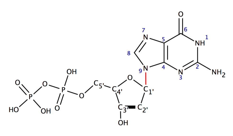 2'-дезоксигуанозиндифосфат