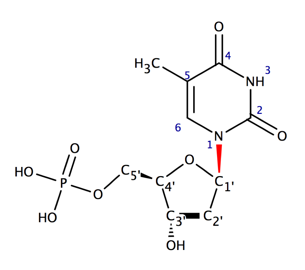 2'-дезокситимидинмонофосфат