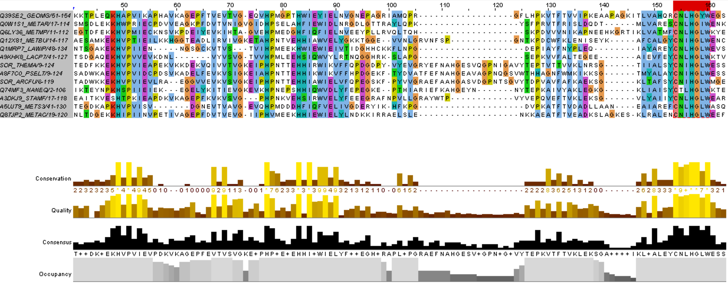 Рисунок 1. Множественное выравнивание белков с доменом PF01880