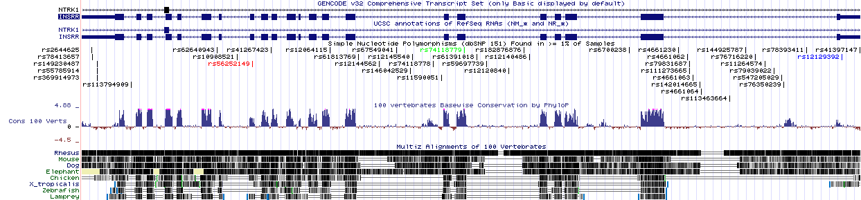 окрестность гена из Genome Browser c треками