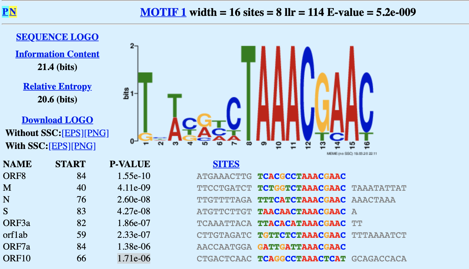 motif for sars-cov-2