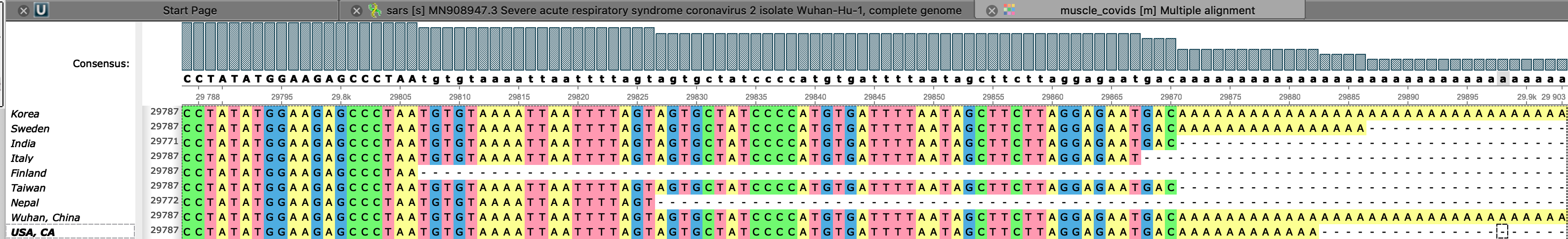 muscle for different sars-cov-2 - end