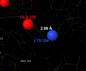    154-   Lys  288-    Glu