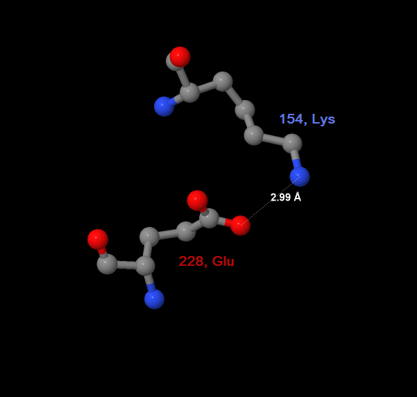    154-   Lys  288-    Glu