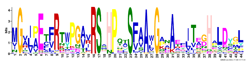 Motif 1 Logo