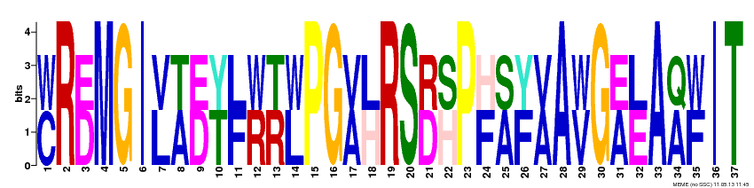 Motif 11 Logo