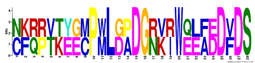 Motif 12 Logo