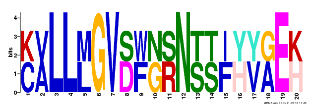 Motif 14 Logo