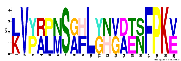Motif 15 Logo