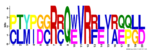 Motif 16 Logo