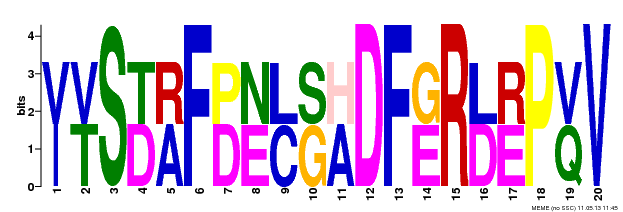 Motif 17 Logo