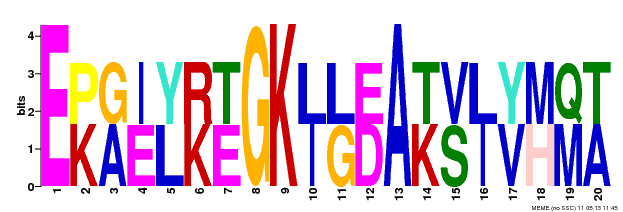 Motif 18 Logo