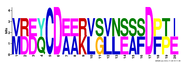 Motif 19 Logo