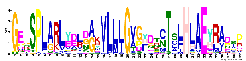 Motif 2 Logo