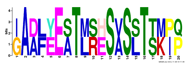 Motif 20 Logo