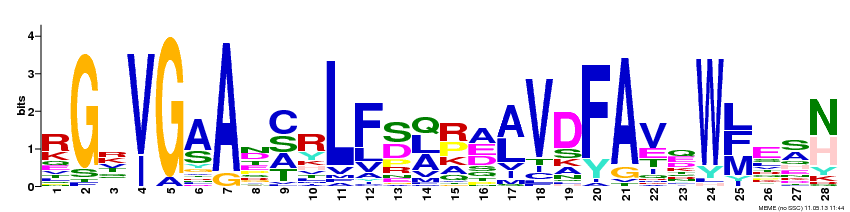 Motif 5 Logo
